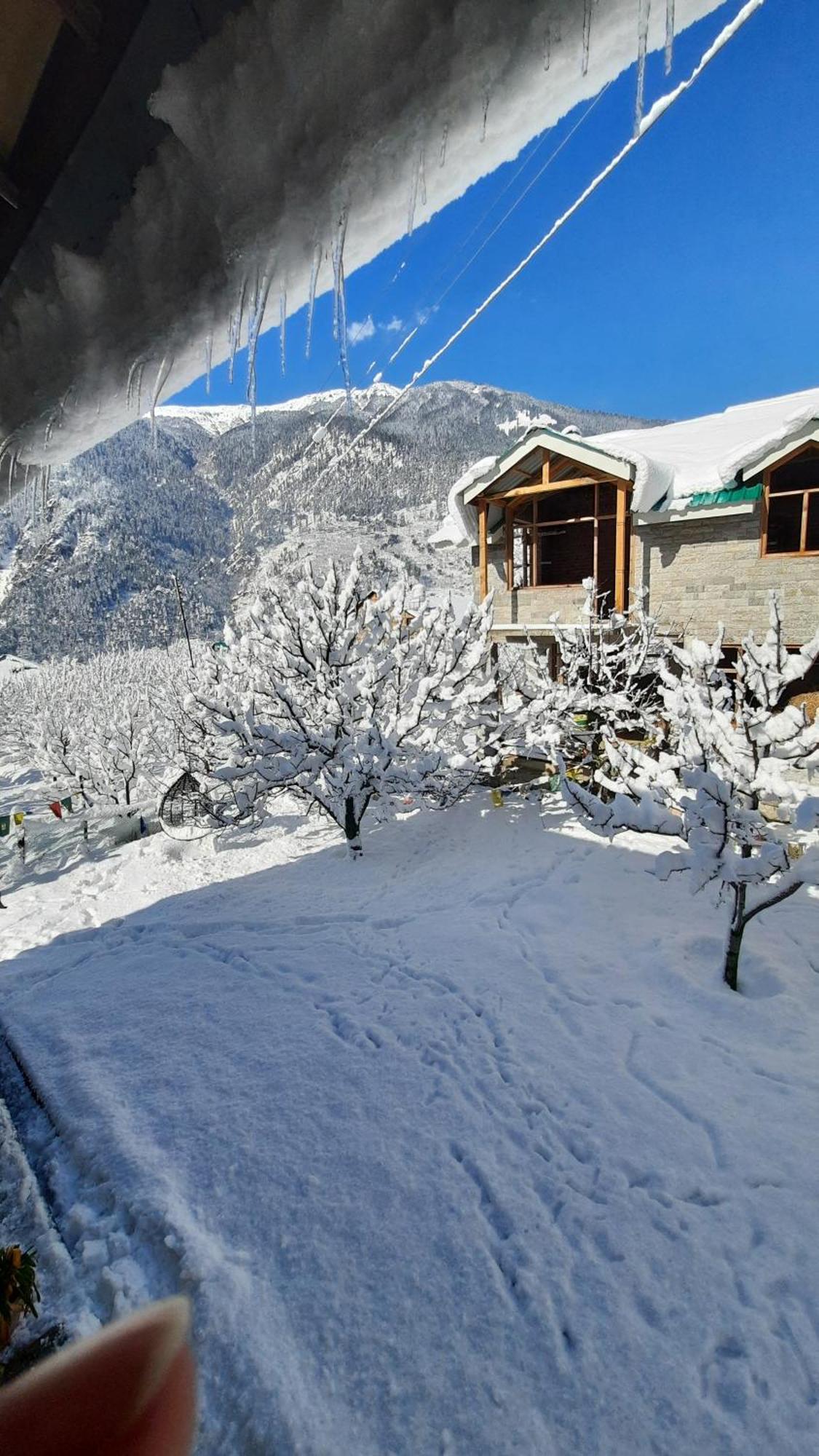 The Hideout - Hiraeth Hostel Manāli Εξωτερικό φωτογραφία