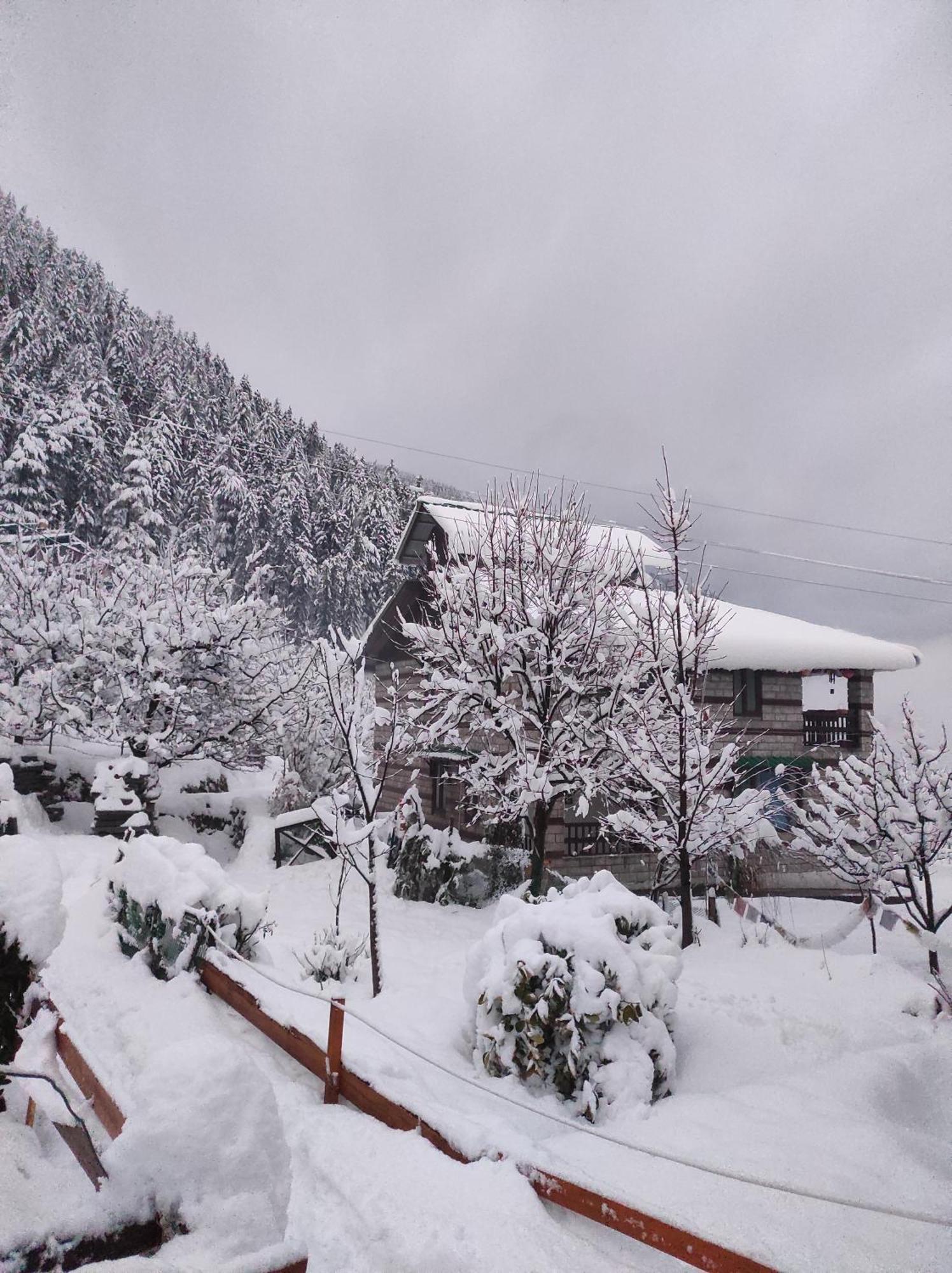 The Hideout - Hiraeth Hostel Manāli Εξωτερικό φωτογραφία