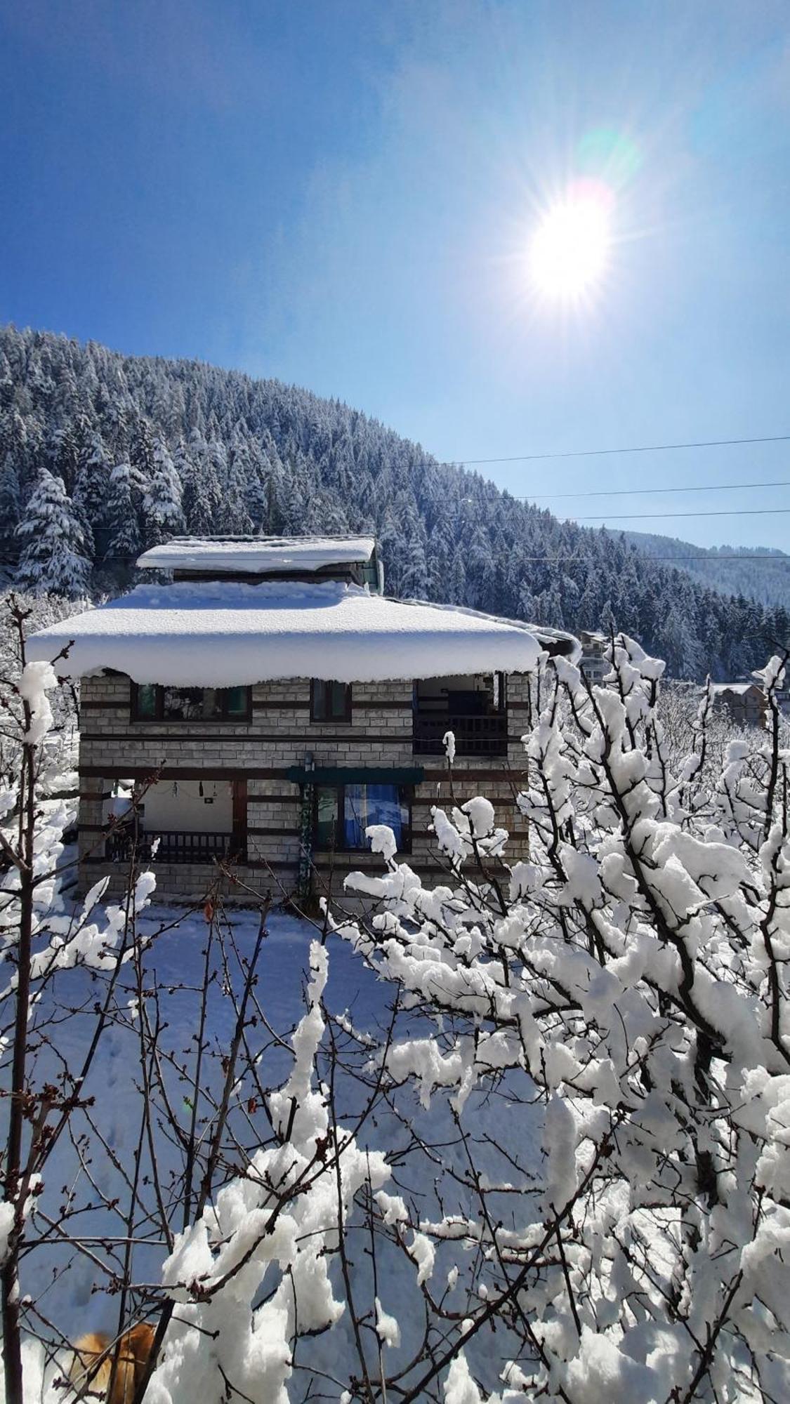The Hideout - Hiraeth Hostel Manāli Εξωτερικό φωτογραφία