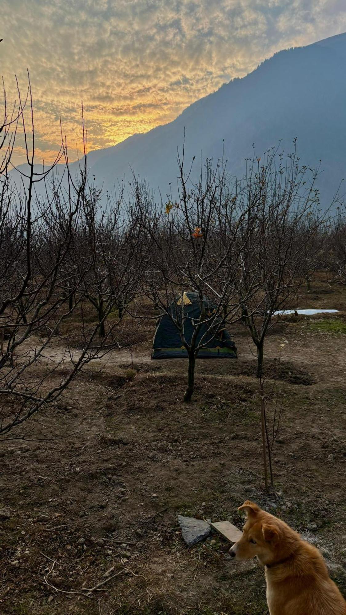 The Hideout - Hiraeth Hostel Manāli Εξωτερικό φωτογραφία