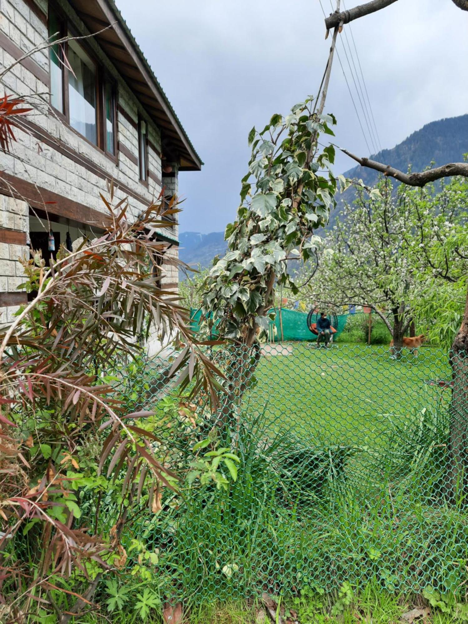 The Hideout - Hiraeth Hostel Manāli Εξωτερικό φωτογραφία
